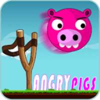 Knock Down Angry Pigs
