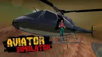 Aviator Simulator Screen Shot 0