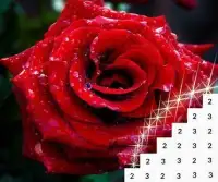 Flowers Color by Number: Flower Pixel Art Screen Shot 0