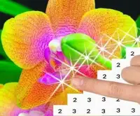Flowers Color by Number: Flower Pixel Art Screen Shot 2