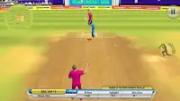 T20 Cricket Last Over Screen Shot 4