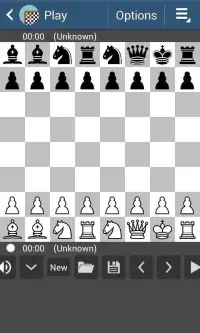 Chess 41 Screen Shot 1