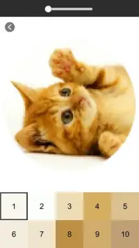 Cat Photography Color By Number - Pixel Art Screen Shot 4