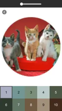 Cat Photography Color By Number - Pixel Art Screen Shot 3