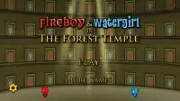 Fireboy & Watergirl in The Forest Temple Screen Shot 7