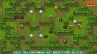 Chipmunk's Adventures - Logical puzzle games Screen Shot 1