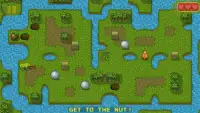 Chipmunk's Adventures - Logical puzzle games Screen Shot 0