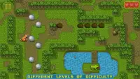 Chipmunk's Adventures - Logical puzzle games Screen Shot 2