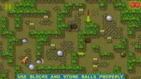 Chipmunk's Adventures - Logical puzzle games Screen Shot 5
