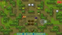 Chipmunk's Adventures - Logical puzzle games Screen Shot 3