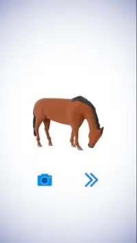 Poly Art Horse Animal 3D Puzzle Roll Polygons Game Screen Shot 2