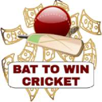 Bat To Win Cricket 2019