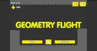 Geometry flight Screen Shot 2