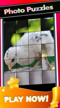 Cute Chick Pictures-Baby Chickens Puzzle Game Screen Shot 3