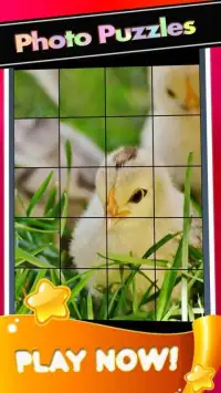Cute Chick Pictures-Baby Chickens Puzzle Game Screen Shot 2
