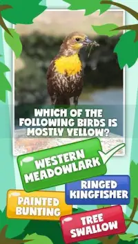 Different Types Of Birds Quiz Game Screen Shot 0