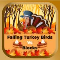 Falling Turkey Birds Vs Blocks :Thanksgiving games