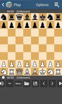 Chess 47 Screen Shot 1