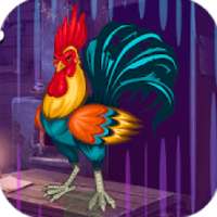 Kavi Escape Game 484 Rooster Escape Game