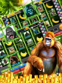 Gorilla King Slots Jungle Screen Shot 2