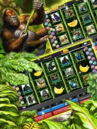 Gorilla King Slots Jungle Screen Shot 0
