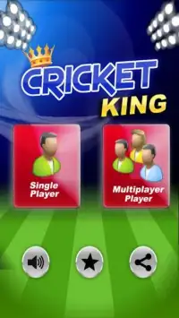 Cricket King Screen Shot 1