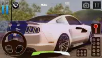 Car Driving Simulator Ford Screen Shot 1