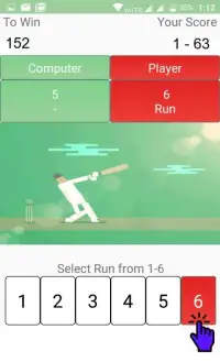 Play Cricket Game Screen Shot 0