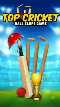 Top Cricket Ball Slope Game Screen Shot 1