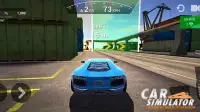 Car Simulator: Steering Wheel Possessor Screen Shot 6