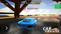 Car Simulator: Steering Wheel Possessor Screen Shot 9