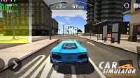 Car Simulator: Steering Wheel Possessor Screen Shot 2