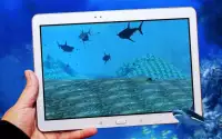 Angry big Shark Virtual Reality ( VR ) Screen Shot 2