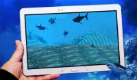 Angry big Shark Virtual Reality ( VR ) Screen Shot 8