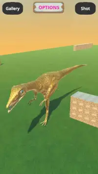 Play With Velociraptor Dinosaur Screen Shot 7