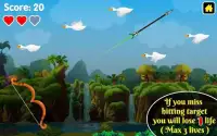 Duck Hunting : King of Archery Hunting Games Screen Shot 0
