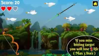 Duck Hunting : King of Archery Hunting Games Screen Shot 8