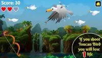 Duck Hunting : King of Archery Hunting Games Screen Shot 5
