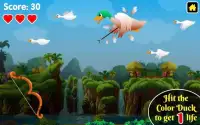 Duck Hunting : King of Archery Hunting Games Screen Shot 3