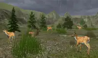 Jungle Commando Animal Hunting Screen Shot 1