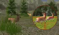 Jungle Commando Animal Hunting Screen Shot 0