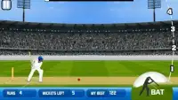 Cricket 2 mb Games Screen Shot 1