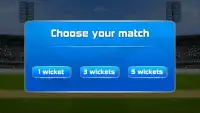 Cricket 2 mb Games Screen Shot 0
