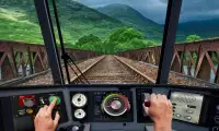 Train Simulator Screen Shot 1