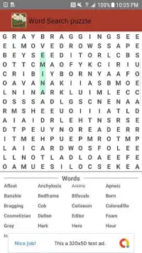 Word Search Puzzle Screen Shot 1