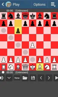 Chess Game 69 Screen Shot 2