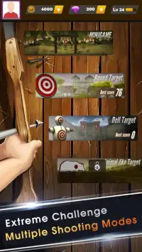 Real Archery Master Screen Shot 0