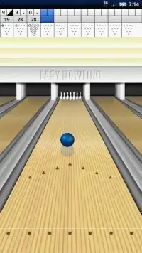 Easy Bowling Screen Shot 1