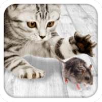 Games for cat Mouse