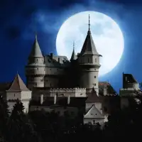 Medieval and Beautiful Castles Jigsaw Puzzles * Screen Shot 3